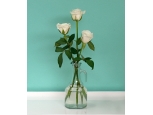 Magnificent White - 3 Stems Vase